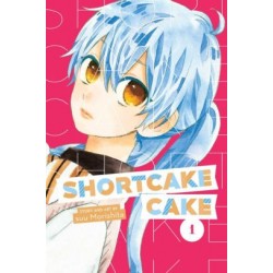 Shortcake Cake V01