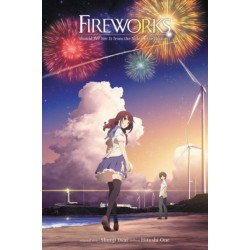 Fireworks, Should We See It from the Side or the Bottom? Novel