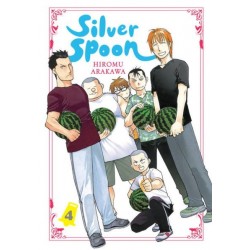 Silver Spoon V04