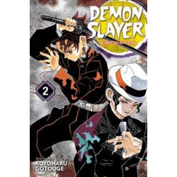 Demon Slayer Kimetsu no Yaiba V02