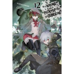 Is It Wrong to Try to Pick Up Girls in a Dungeon? Novel V12