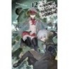 Is It Wrong to Try to Pick Up Girls in a Dungeon? Novel V12