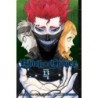 Black Clover V13