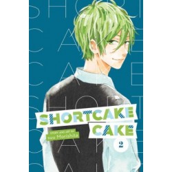 Shortcake Cake V02