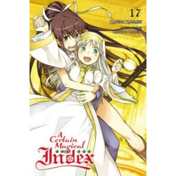 Certain Magical Index Novel V17
