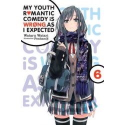 My Youth Romantic Comedy Is Wrong, as I Expected Novel V06