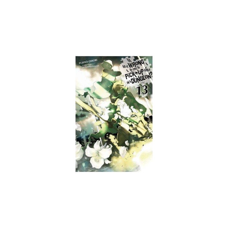 Is It Wrong to Try to Pick Up Girls in a Dungeon? Novel V13