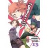 Devil Is a Part-Timer! Novel V13