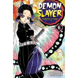 Demon Slayer V06 Kimetsu No Yaiba