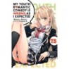 My Youth Romantic Comedy Is Wrong, as I Expected Novel V07.5