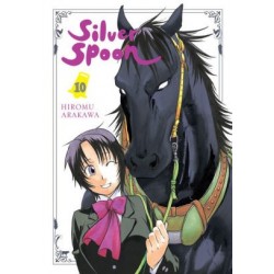 Silver Spoon V10