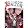 Bungo Stray Dogs V12