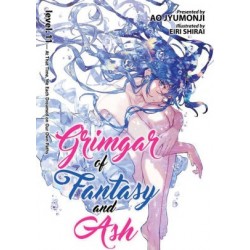 Grimgar of Fantasy & Ash Novel V11