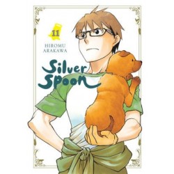 Silver Spoon V11
