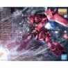 1/100 MG Gunner Zaku Warrior  Lunamaria Hawke Custom ZGMF-1000/A1