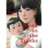 Blood on the Tracks V01