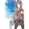 Rascal Does Not Dream of Bunny Girl Senpai Novel