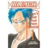 Bleach Novel V01 Can't Fear Your Own World