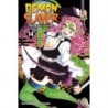 Demon Slayer V14 Kimetsu No Yaiba