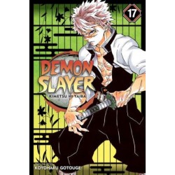 Demon Slayer V17 Kimetsu No Yaiba