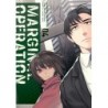 Marginal Operation V04