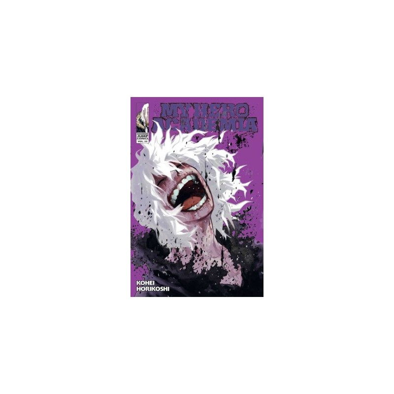 My Hero Academia V25