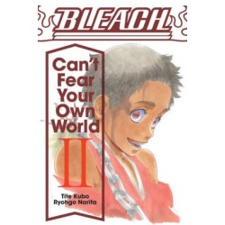 Bleach Novel V02 Can't Fear Your...