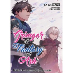 Grimgar of Fantasy & Ash Novel V14