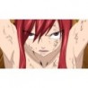Fairy Tail Collection 24 Blu-ray Eps 291-303