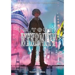 To Your Eternity V13