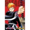 Bleach 3-in-1 V01