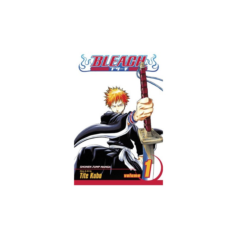 Bleach V01