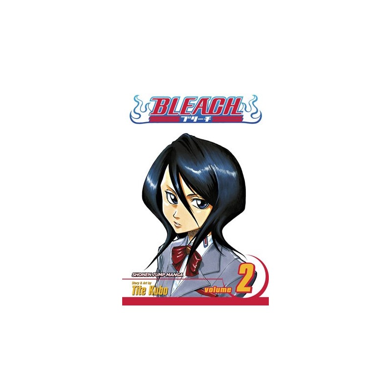 Bleach V02