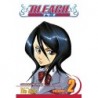 Bleach V02