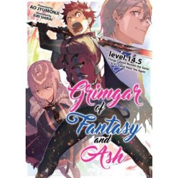 Grimgar of Fantasy & Ash Novel V14.5