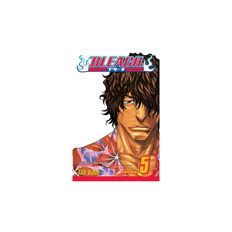 Bleach V05