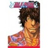 Bleach V05