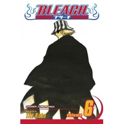 Bleach V06