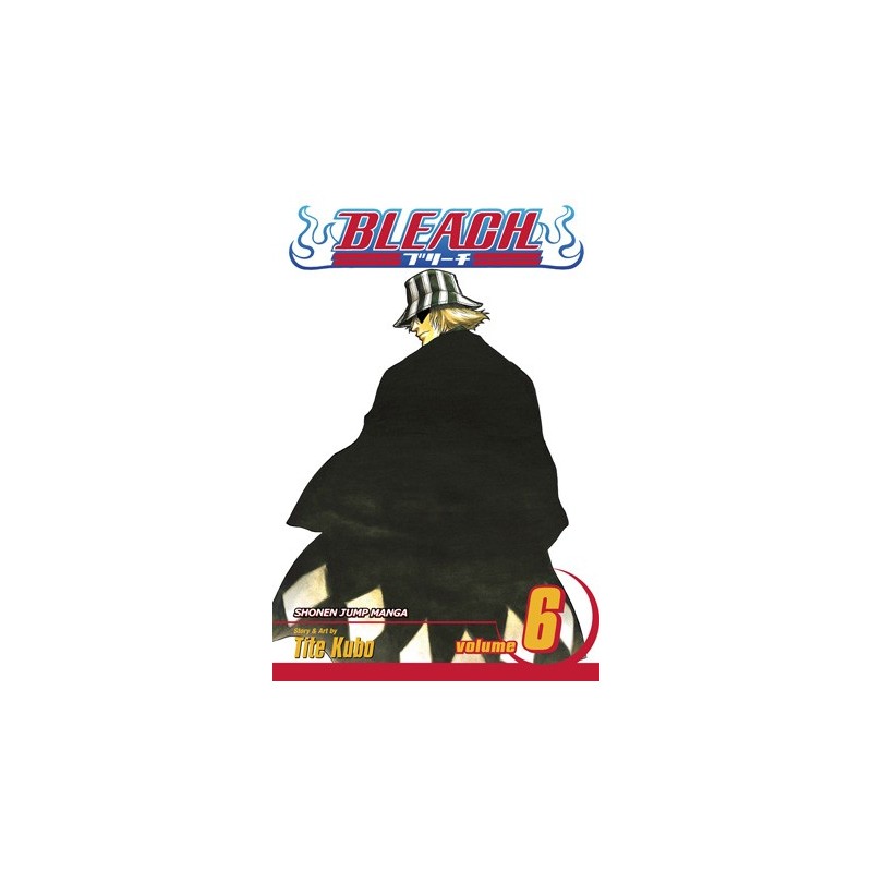 Bleach V06