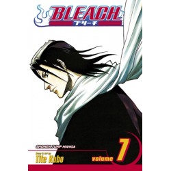 Bleach V07