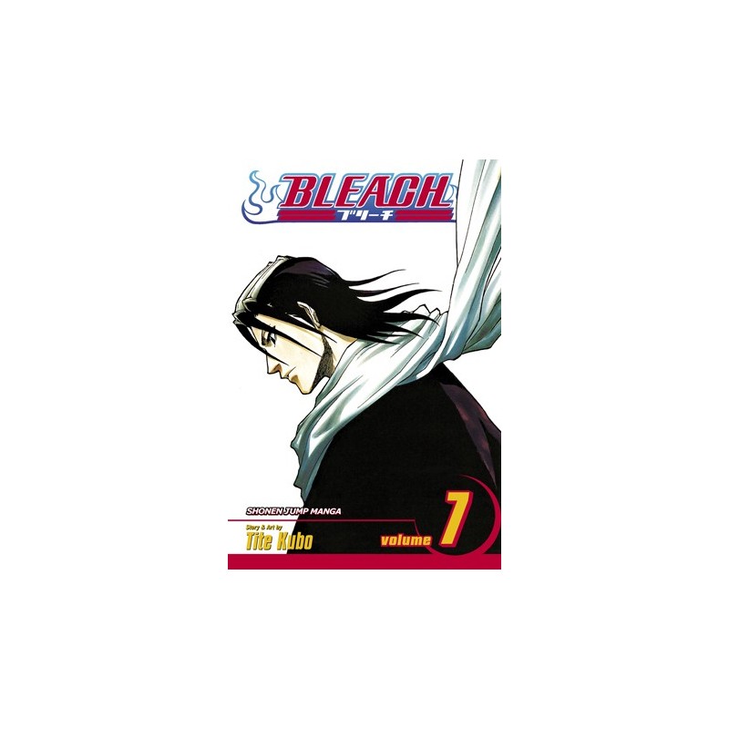 Bleach V07