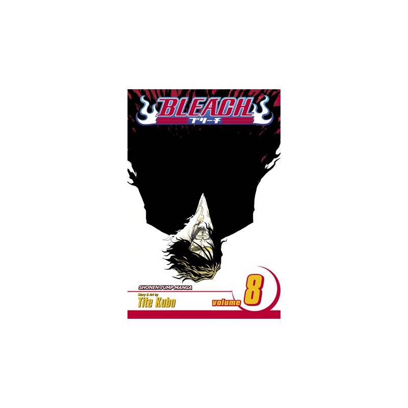 Bleach V08