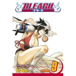 Bleach V09