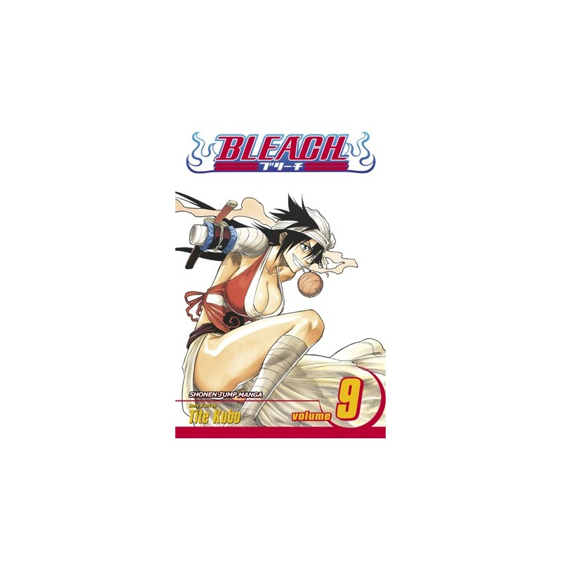 Bleach V09