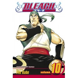 Bleach V10