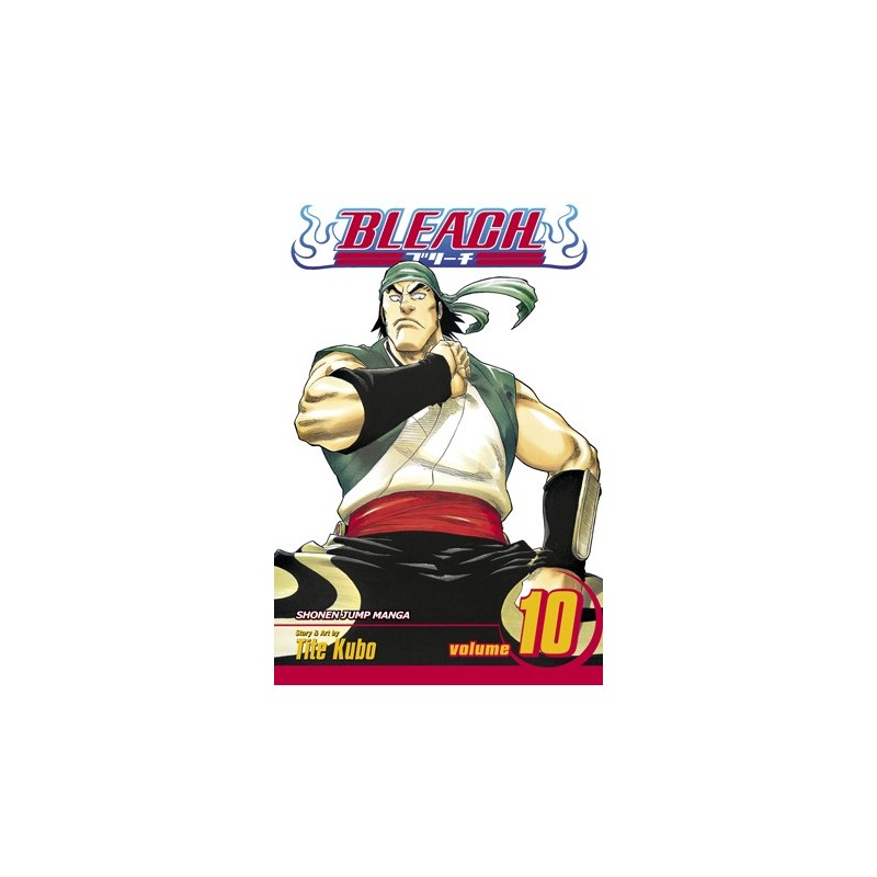 Bleach V10