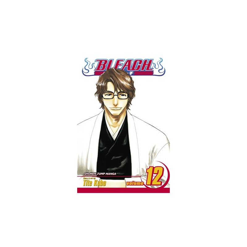 Bleach V12