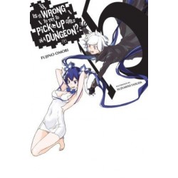 Is It Wrong to Try to Pick Up Girls in a Dungeon? Novel V15