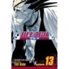 Bleach V13