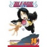 Bleach V14